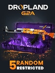 Counter Strike 2 RANDOM 5 CASE RESTRICTED SKIN PC BY DROPLAND.NET Clé GLOBAL
