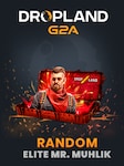 Counter Strike 2 RANDOM ELITE MR. MUHLIK BY DROPLAND.NET Schlüssel GLOBAL
