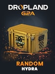 Counter Strike 2 RANDOM HYDRA SKIN BY DROPLAND.NET Key GLOBAL
