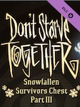 Don't Starve Together: Snowfallen Survivors Chest, Part III PC Steam Gift NORTH AMERICA