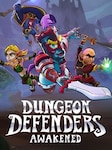 Dungeon Defenders: Awakened PC Steam Account GLOBAL