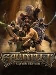 Gauntlet Slayer Edition (PC) - Steam Regalo - GLOBAL Steam Gift GLOBAL