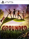 Grounded PS5 PSN Account GLOBAL