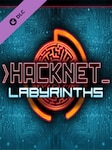 Hacknet - Labyrinths PC Steam Klucz GLOBALNY