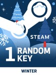 Random Winter 1 Key (PC) - Steam Clave - GLOBAL Steam Key GLOBAL