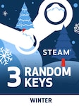 Random Winter 3 Keys PC Steam Key GLOBAL