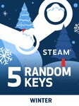 Random Winter 5 Keys (PC) - Steam Clé - GLOBAL Steam Key GLOBAL