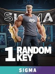 SIGMA Random 1 Key PC Steam Key GLOBAL