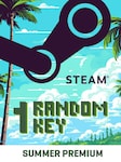 Summer Random Premium 1 Key PC Steam Key GLOBAL