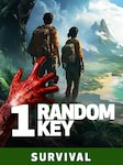 SURVIVAL Random 1 Key PC Steam Key GLOBAL