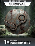 SURVIVAL Random 1 Key PC Steam Key GLOBAL