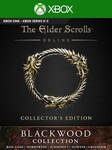 The Elder Scrolls Online Collection: Blackwood | Collector's Edition (Xbox One) - Xbox Live Schlüssel - VEREINIGTE STAATEN VON AMERIKA Xbox Live Key UNITED STATES