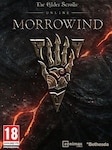 The Elder Scrolls Online + Morrowind Upgrade The Elder Scrolls Online Schlüssel GLOBAL
