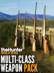 theHunter: Call of the Wild - Multi-Class Weapon Pack PC Steam Key GLOBAL