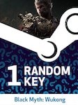 Try To Get Black Myth: Wukong  - Random 1 Key PC Steam Key GLOBAL