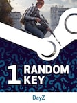 Try to get Dayz - Random Standard Edition 1 Key PC Steam Clé GLOBAL