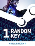 Try to Get NINJA GAIDEN 4 - Random Standard Edition 1 Key PC Steam Key GLOBAL