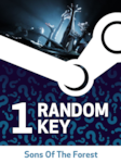 Try to get Sons Of The Forest - Random 1 Key PC Steam Klucz GLOBALNY