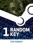 Try to get The Forest - Random 1 Key PC Steam Key GLOBAL