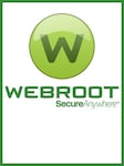 Webroot SecureAnywhere AntiVirus - PC 3 Dispositivi 1 anno Chiave GLOBALE