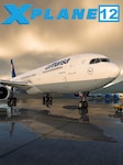 X-Plane 12 PC Steam Account GLOBAL