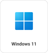 Windows 11