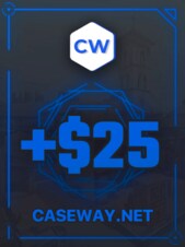 Caseway.net Gift Card 25 USD Caseway.net Klucz GLOBALNY