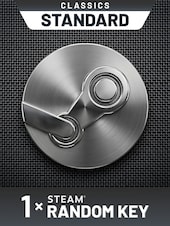 Random 1 Key PC Steam Key GLOBAL