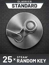 Random 25 Keys PC Steam Key GLOBAL