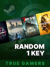 True Gamers Random Standard 1 Key PC Steam Schlüssel GLOBAL