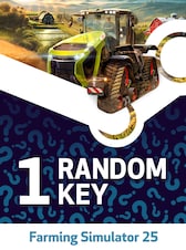 Try to get Farming Simulator 25 - Random 1 Key PC Steam Key GLOBAL