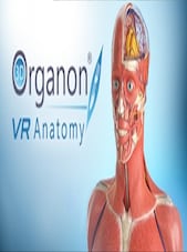 3D Organon VR Anatomy PC Steam Dárek EVROPA