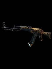 AK-47 | Legion of Anubis In de praktijk getest