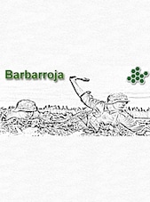 Barbarroja PC Steam Key GLOBAL