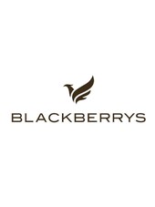 Blackberrys Gift Card 500 INR Blackberrys Key INDIA