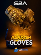 Counter Strike 2 RANDOM GLOVES PC BY GETSKINS Key GLOBAL