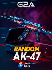 Counter Strike 2 RANDOM PRIME AK-47 SKIN PC BY GOODGAMESKINS Key GLOBAL