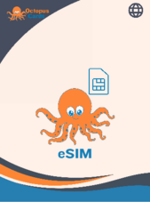 eSIM by Octopus Cards 3 GB 15 jours INDONÉSIE Octopus Cards Clé