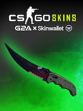 Flip Knife | Doppler