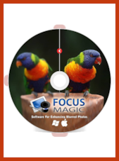 Focus Magic - PC 1 Cihaz Ömür boyu FocusMagic Anahtar KÜRESEL