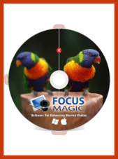 Focus Magic - PC 1 Device De por vida FocusMagic Clave GLOBAL