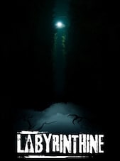 Labyrinthine PC Steam Clé GLOBAL