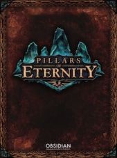 PILLARS OF ETERNITY COLLECTION PC Steam Klucz GLOBALNY
