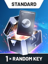 Random 1 Key PC Steam Key GLOBAL