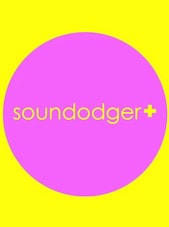 Soundodger+ and Soundtrack PC Steam Key GLOBAL