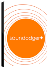 Soundodger PC Steam Key GLOBAL