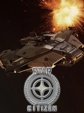 Star Citizen Ships - Paladin - Standalone Ship PC MMOPIXEL Player Trade GLOBAL