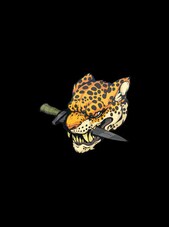 Sticker | Enemy Spotted
