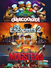 Team17 Co-op Bundle PC Steam Key GLOBAL