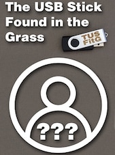 The USB Stick Found in the Grass PC Steam Clé GLOBAL